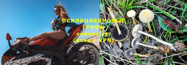 мдпв Новокубанск