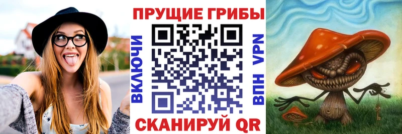 Галлюциногенные грибы Psilocybine cubensis  гидра зеркало  Тбилисская 
